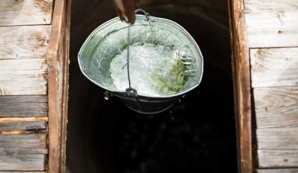 bucket of water