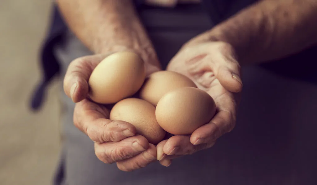 organic eggs on hand