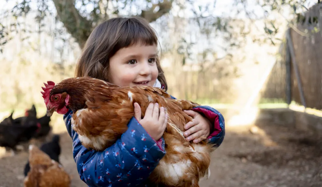 smiling toddler holding a hen