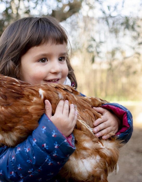 smiling toddler holding a hen