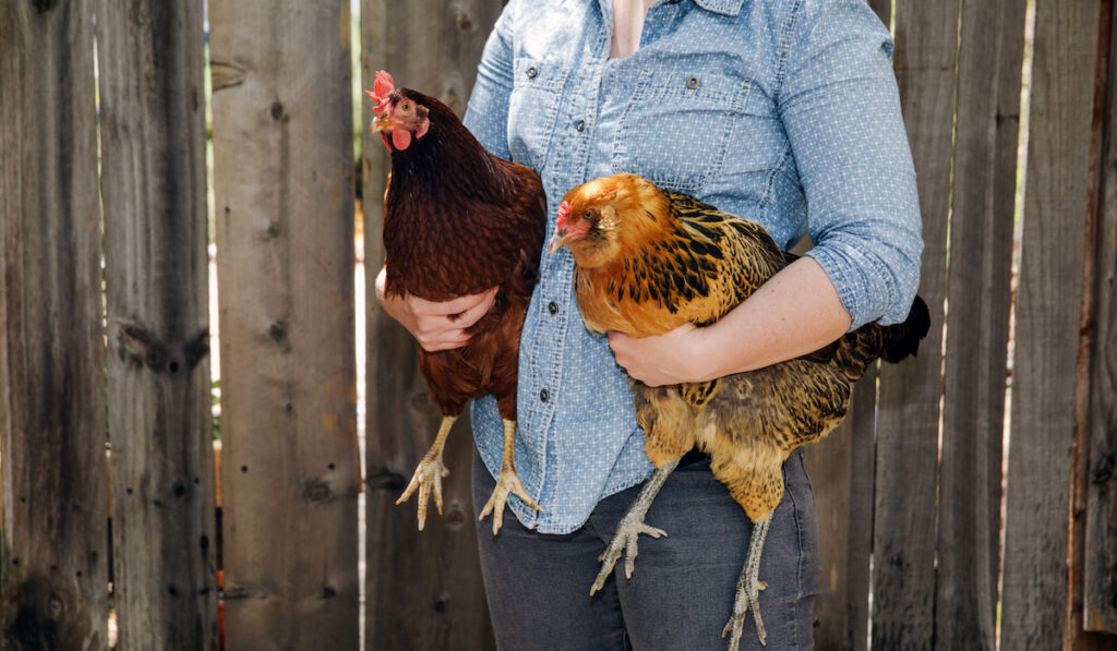 woman holding two chickens