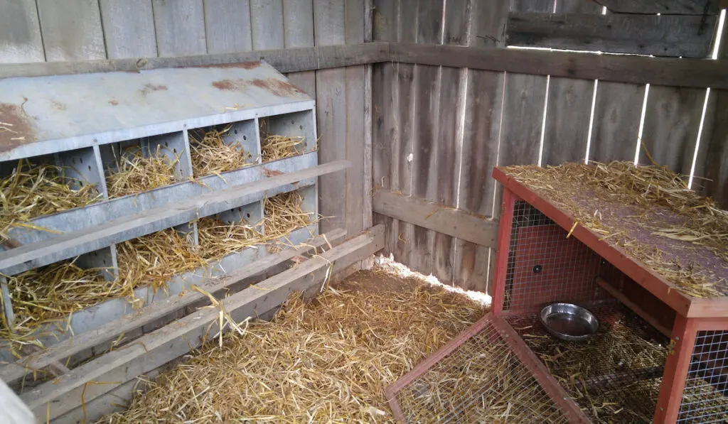 empty chicken coop