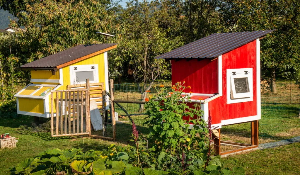 painted chicken coops