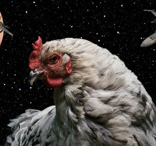 Star Wars inspired Chicken Names