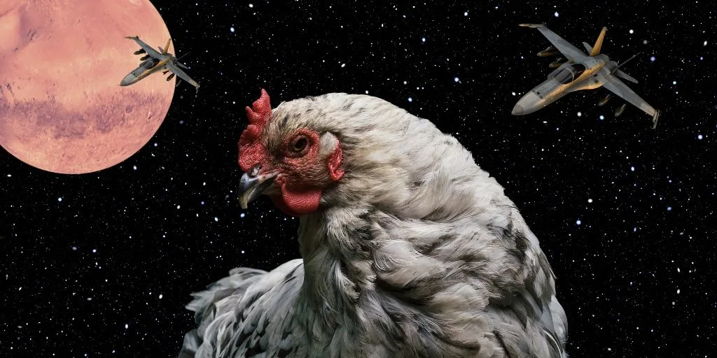 collage of chicken with jet in the space at the background