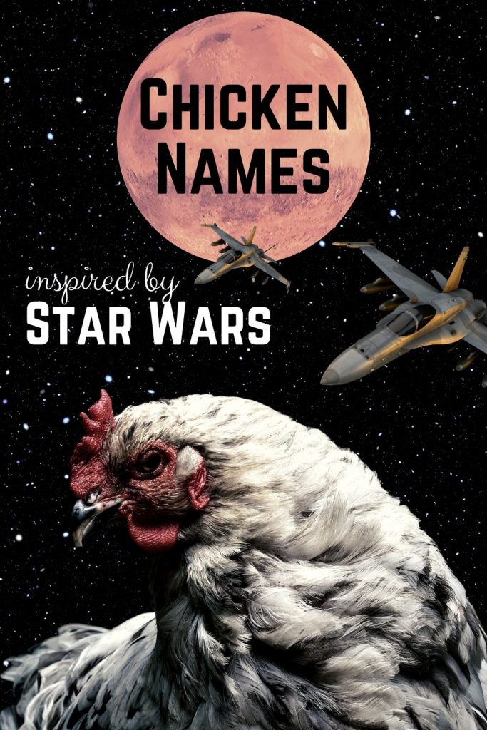 51+ Awesome Star Wars Chicken Names The Hip Chick