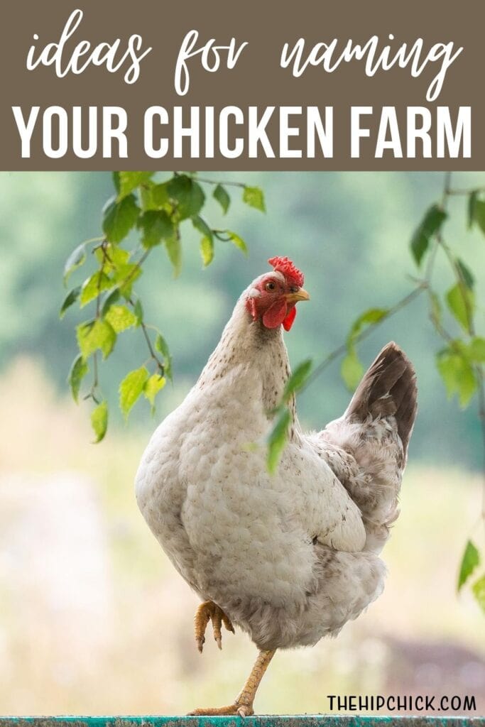 pinterest pin - ideas for naming your chicken farm