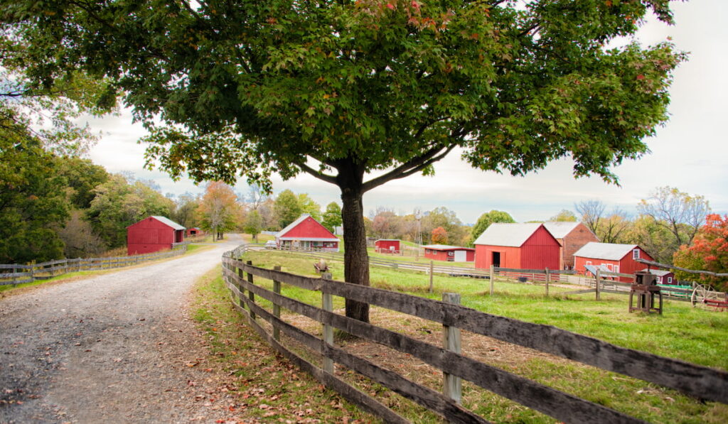 a farm during autumn