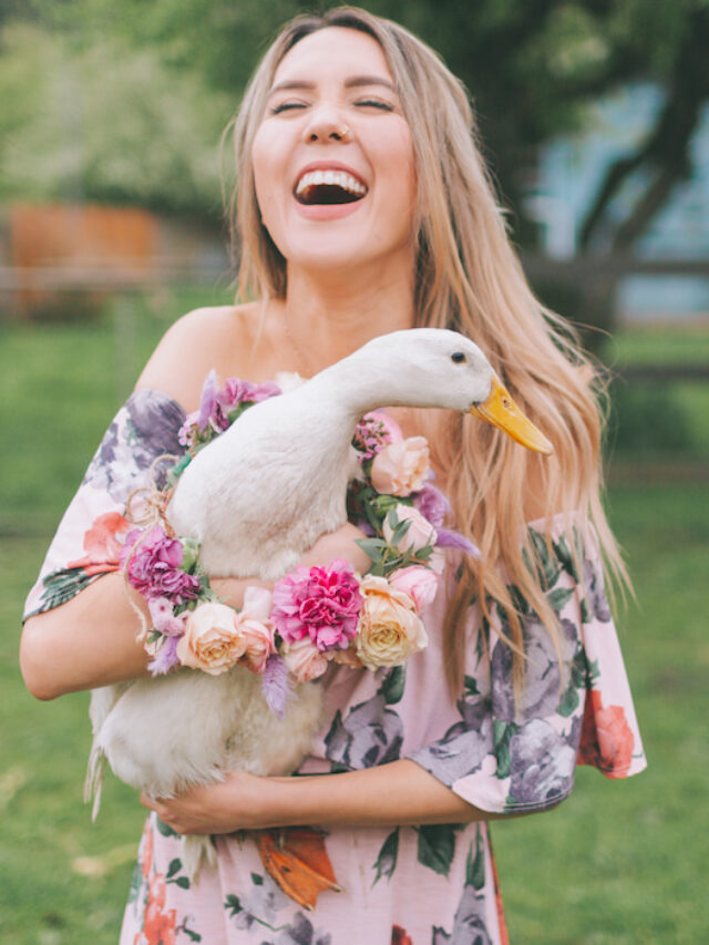 Friendliest Duck Breeds