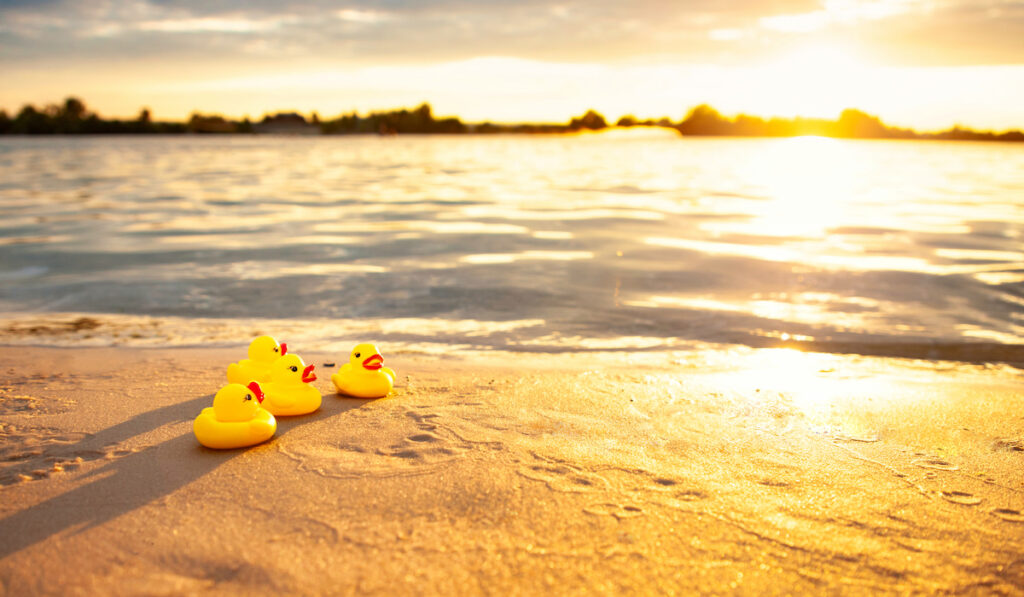 yellow rubber ducks on seashore