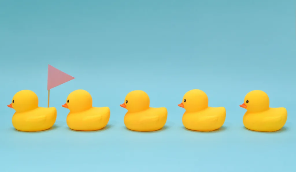 Rubber ducklings following the leader
