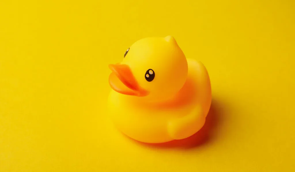cute rubber ducky on a yellow background