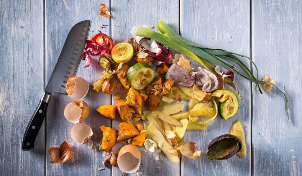 kitchen scraps