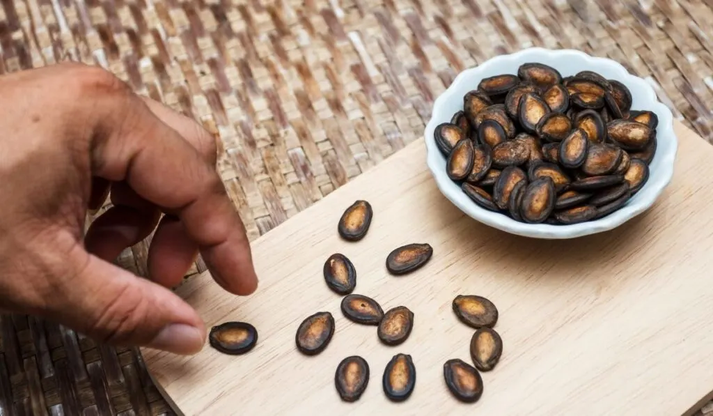 watermelon seeds