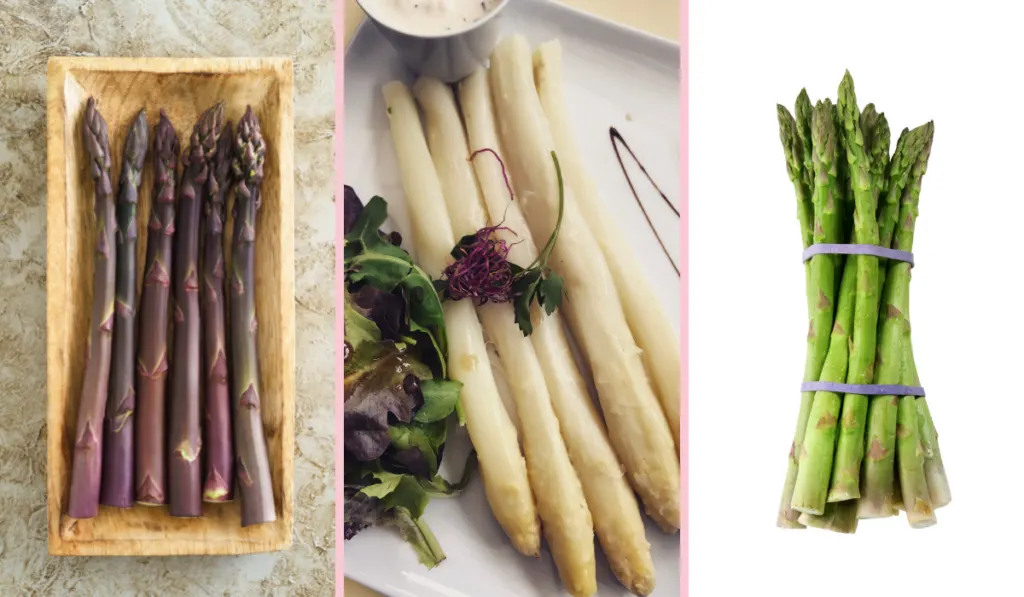 different asparagus
