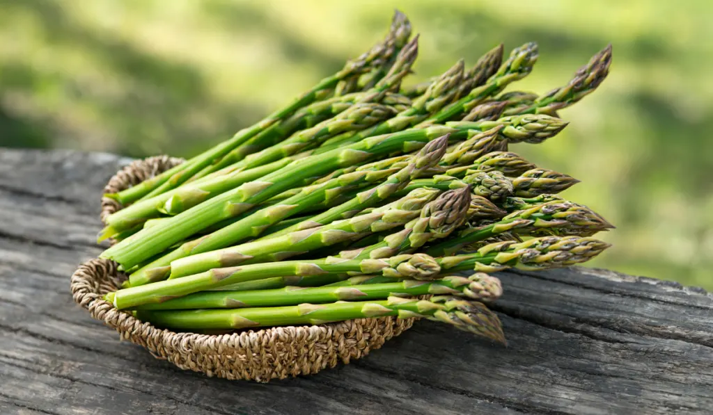 Asparagus on a brown basket