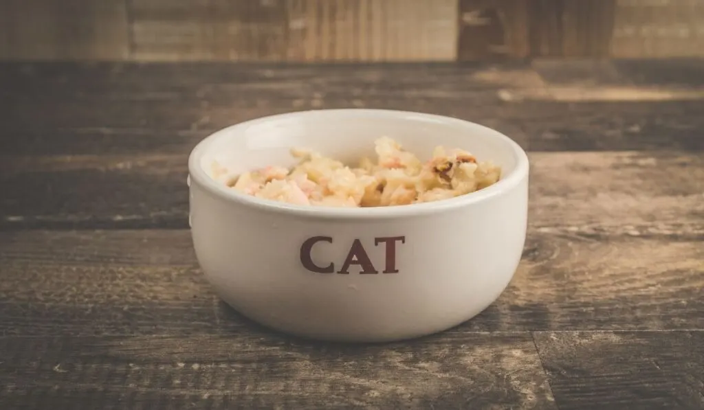 wet cat food in a bowl