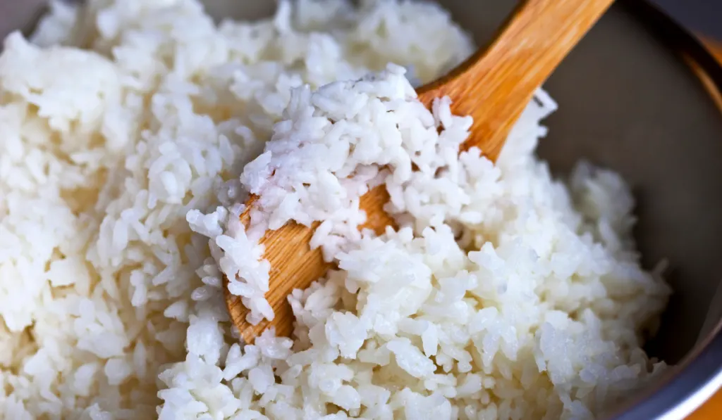 Close up of cooking rice in a pan