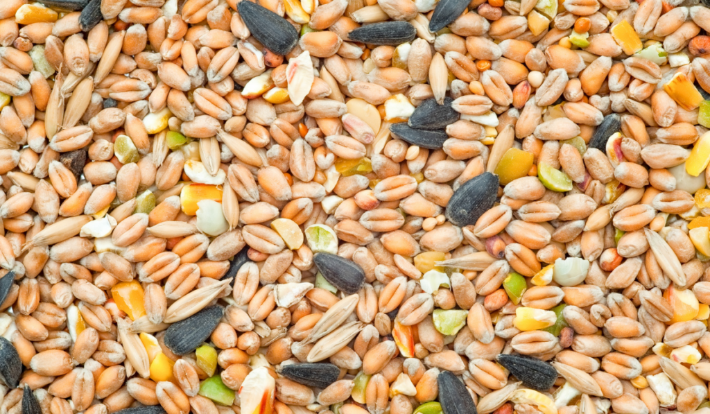 background of mixed seeds, grain, nuts and corn