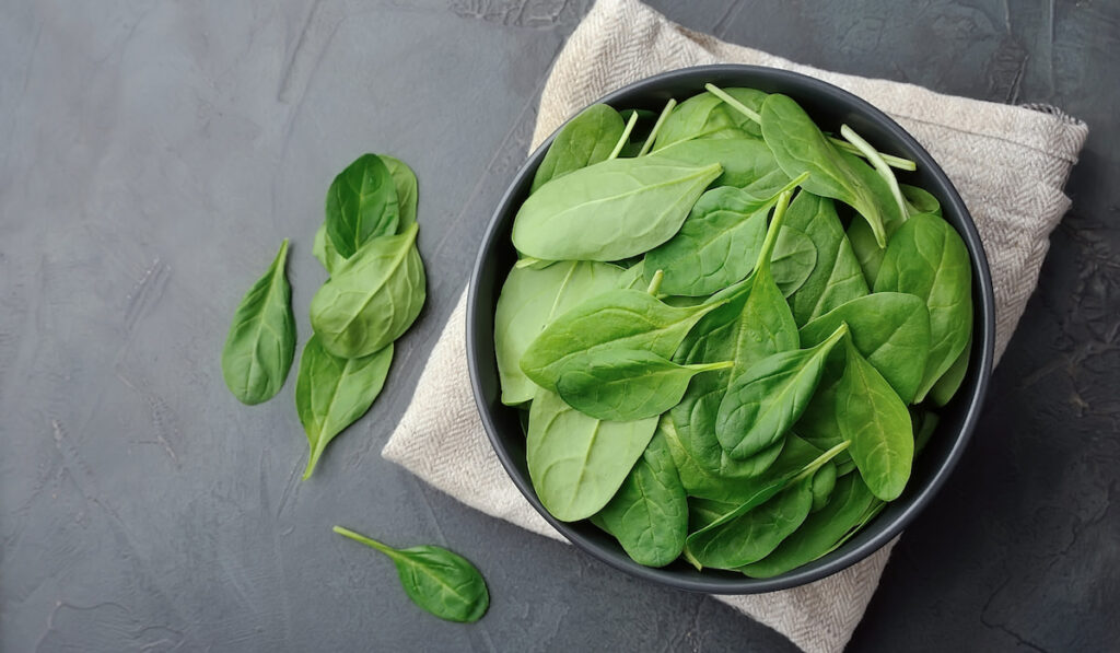 bowl of spinach leaves and white cloth on gray background