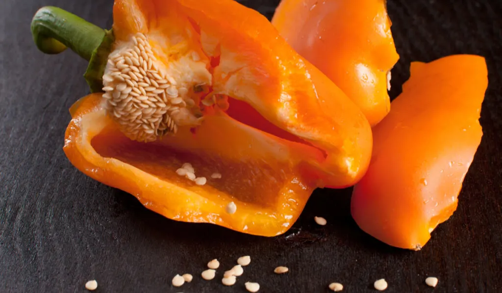 broken orange bell pepper seeds