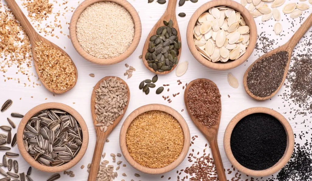 different grains and seeds on the table