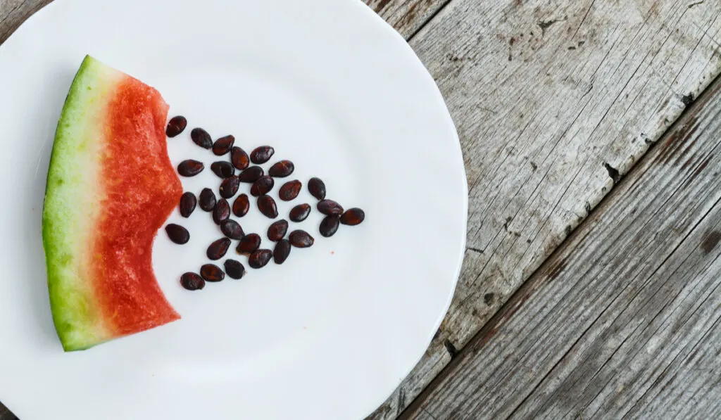 eaten watermelon on plate with its seeds