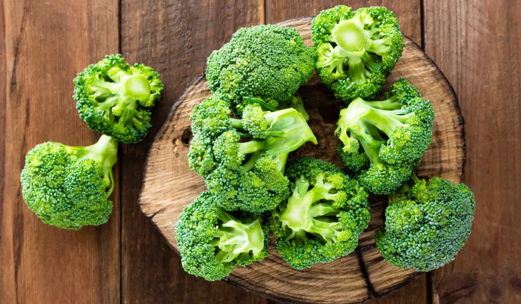 fresh Broccoli on round wooden chopboard 