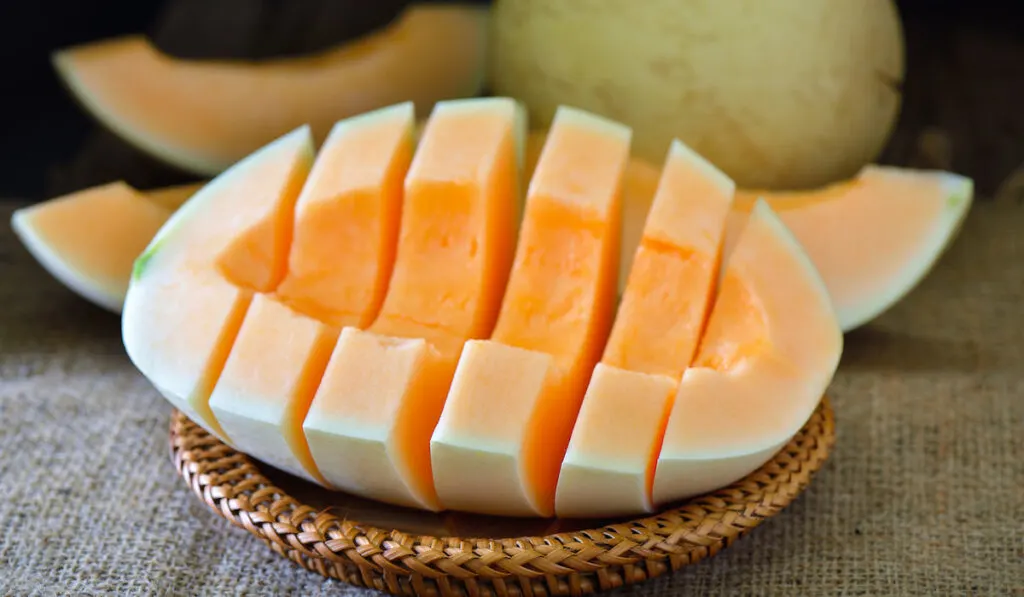 fresh Cantaloupe slice on round wooden plate 