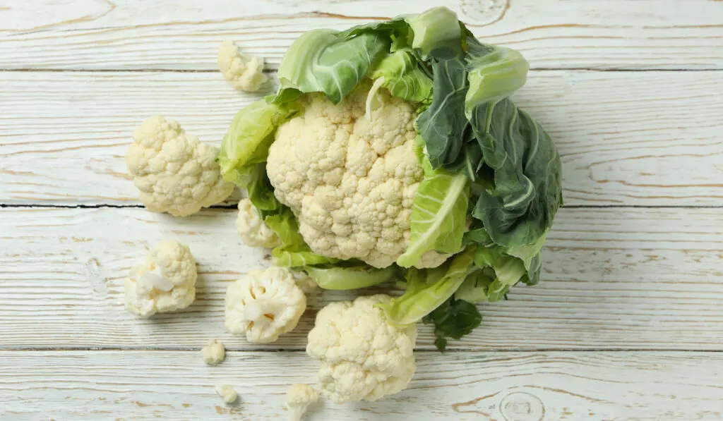 fresh Cauliflower with sliced pieces on wooden background 