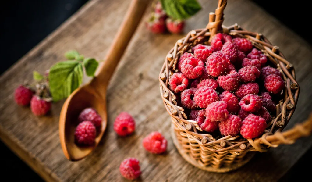 fresh Raspberries on wooden basket and spoon 
