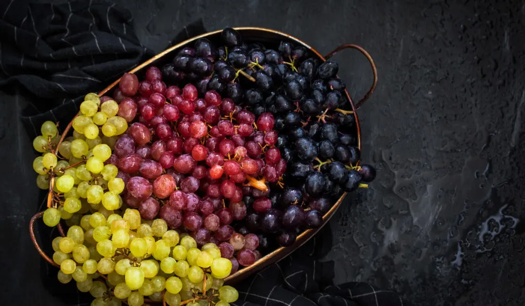 fresh autumn different types of grapes in a golden basket