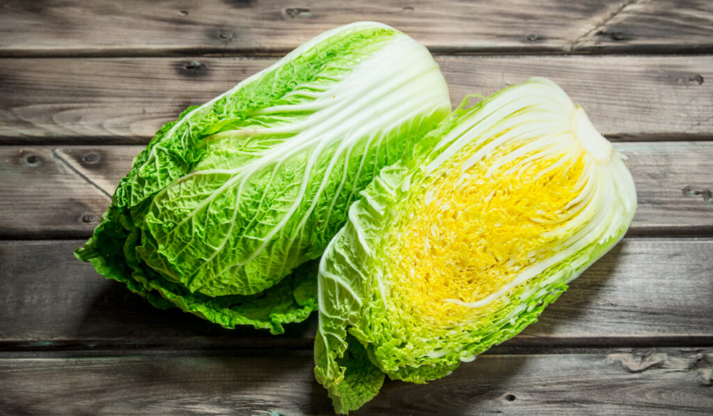 fresh big chinese cabbage on wooden background 
