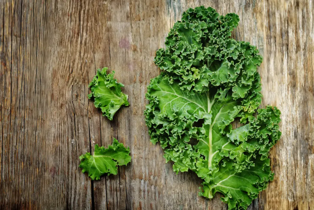 fresh kale on wooden background 