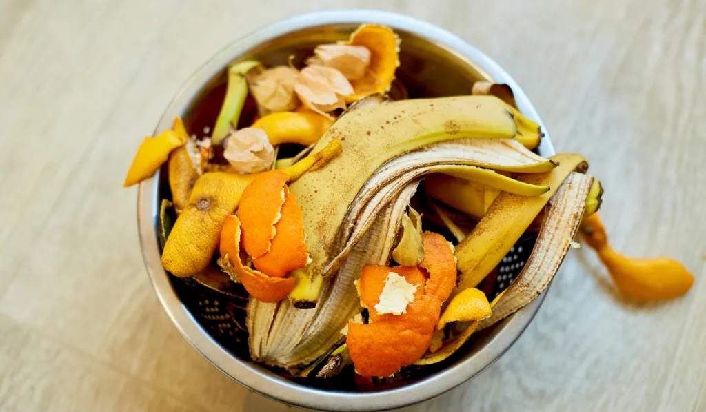 organic composting with leftover from kitchen,