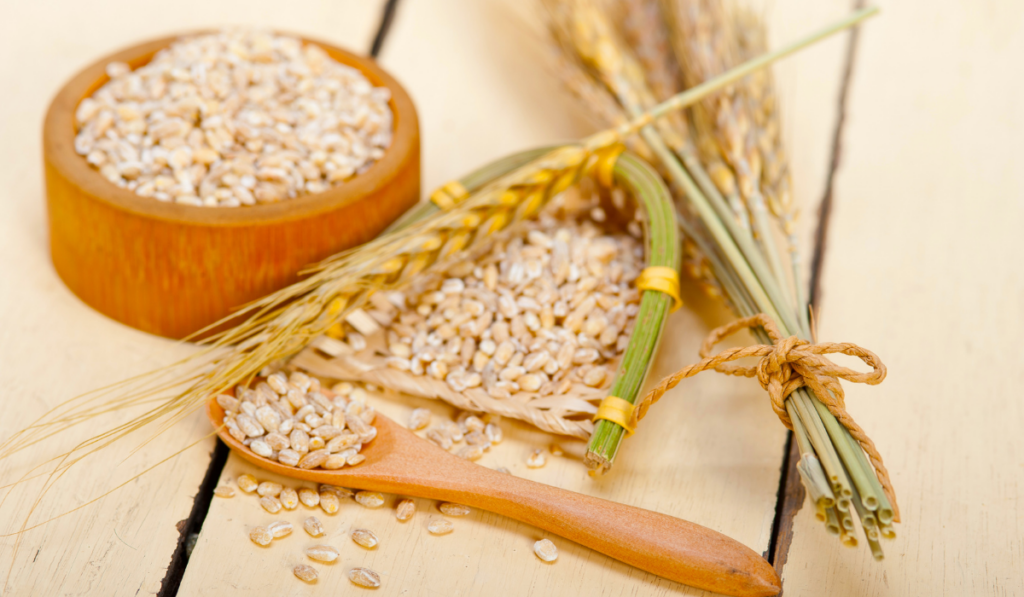 organic wheat grains over rustic wood tabl