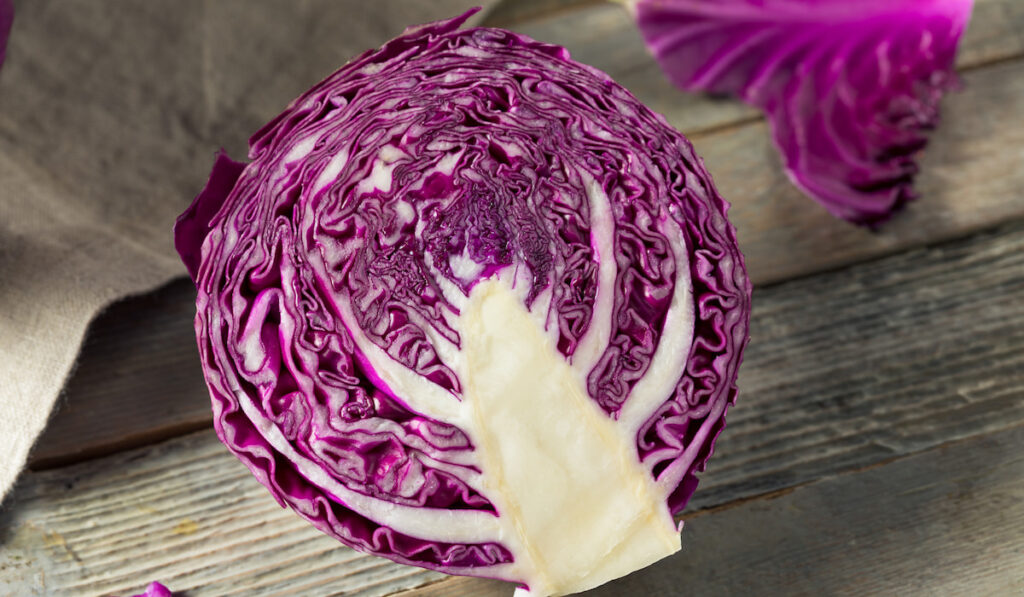 slice of raw organic purple cabbage