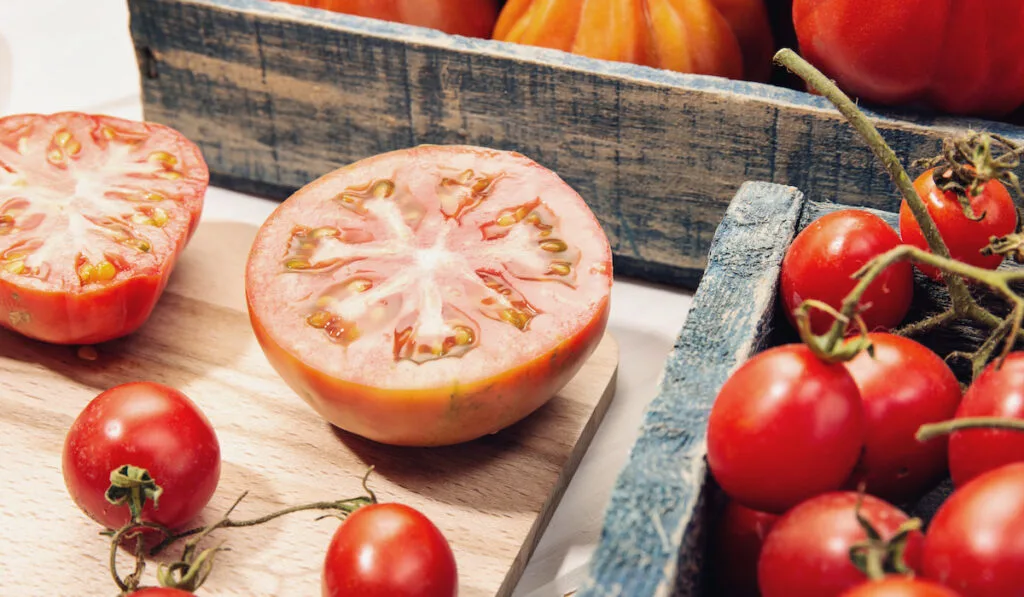 sliced tomato and medley size tomatoes in crates