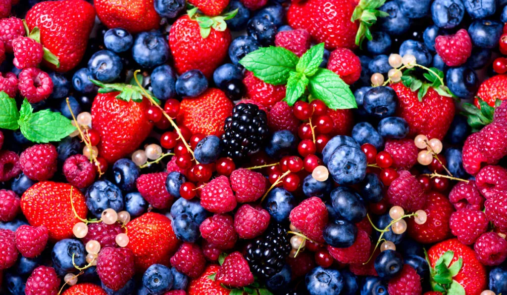 strawberries, blueberries, raspberries and black berries.