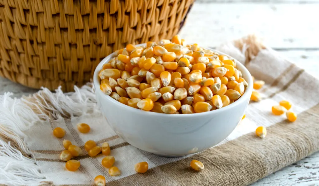 unpopped corn kernel white bowl brown cloth and basket