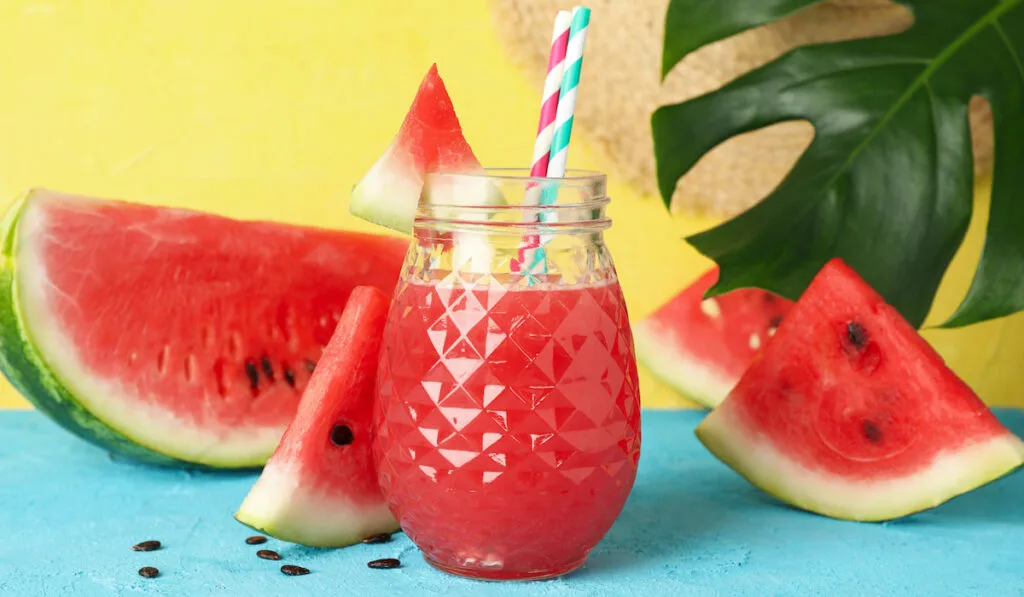 watermelon slices and juice on clear glass and colorful straws