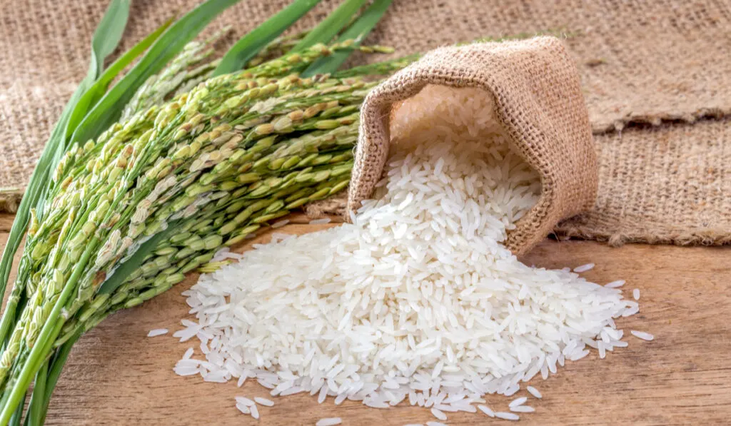 white rice brown sack green leaf wooden table 