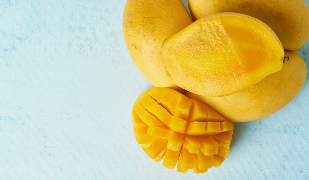 whole mangoes and sliced yellow mango on light blue table 