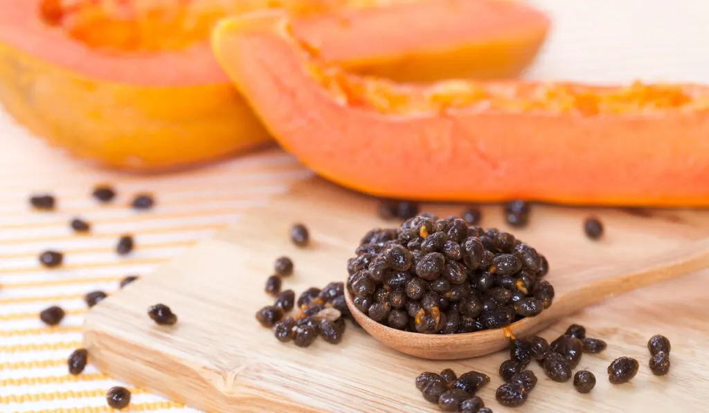 yellow papaya seed on spoon wood and papaya slice background