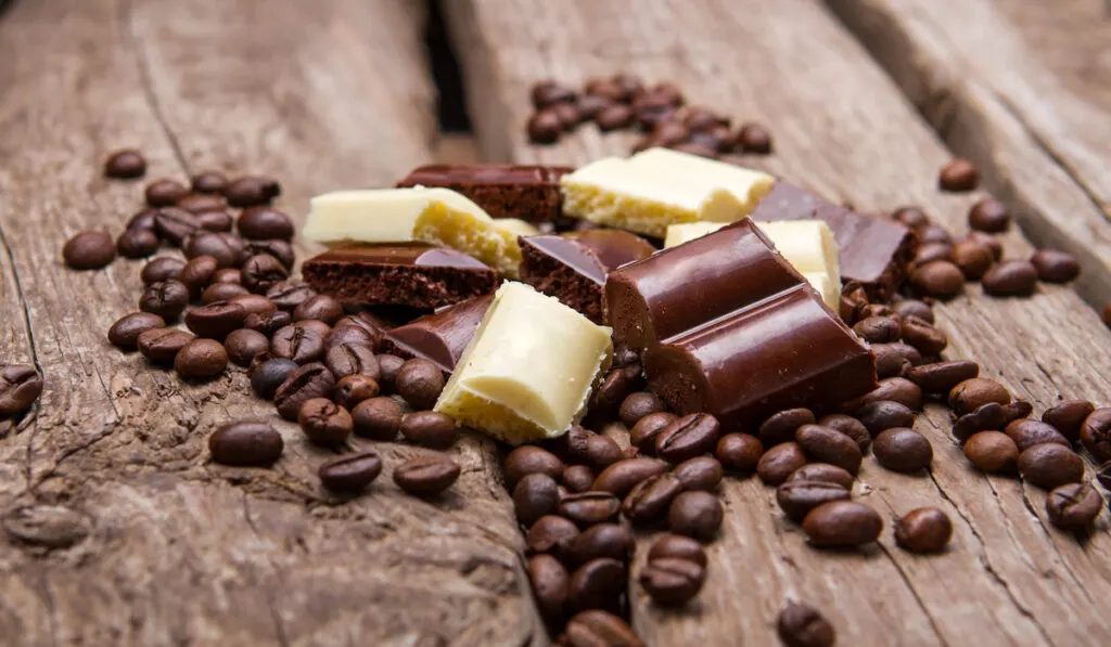 Chocolate and coffee beans on wooden table