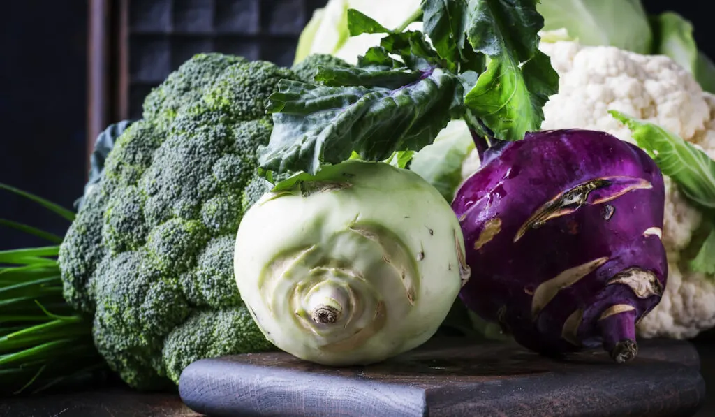 Different kinds of vegetables cabbage broccoli cauliflower