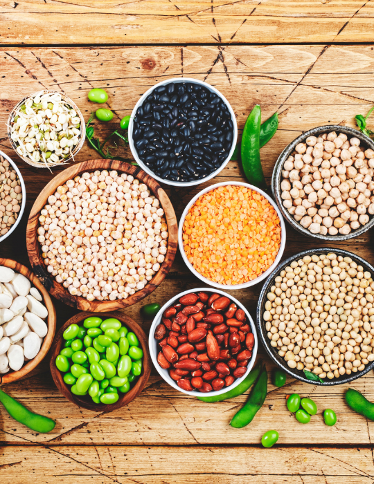 Legumes-beans-and-sprouts.-Dried-raw-and-fresh-top-view.-Red-beans-lentils-mung-beans
