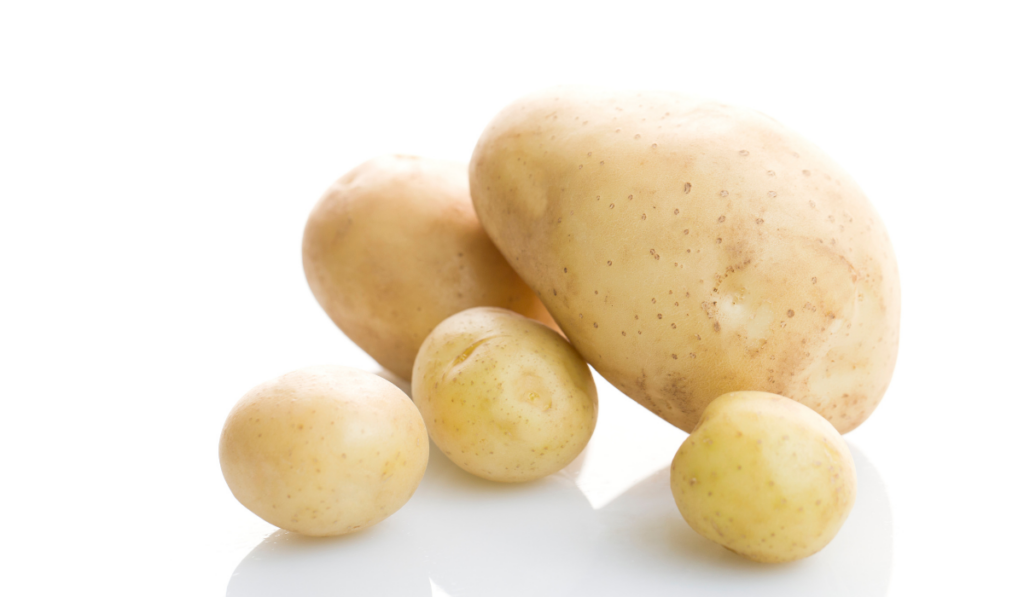 potatoes in white background