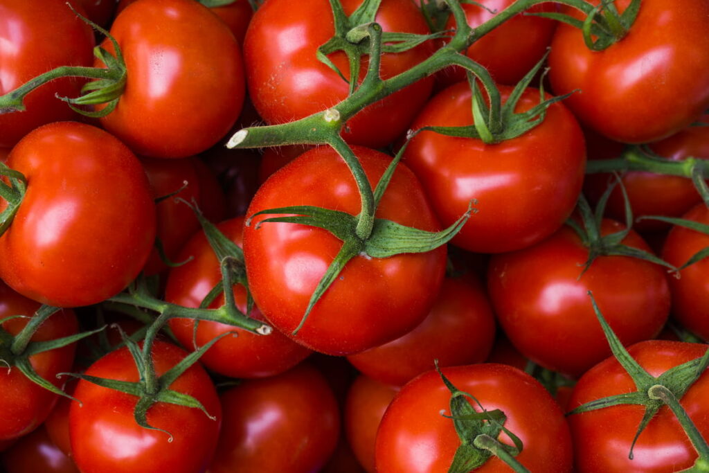 fresh red tomatoes