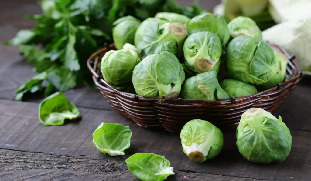 organic brussels sprouts in a basket-
